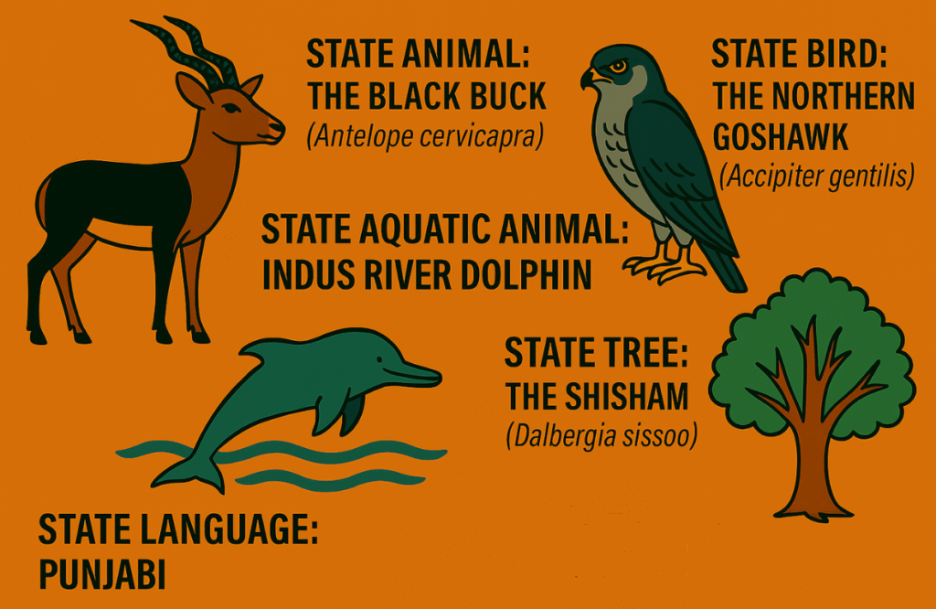 Punjab state animal, Tree, bird