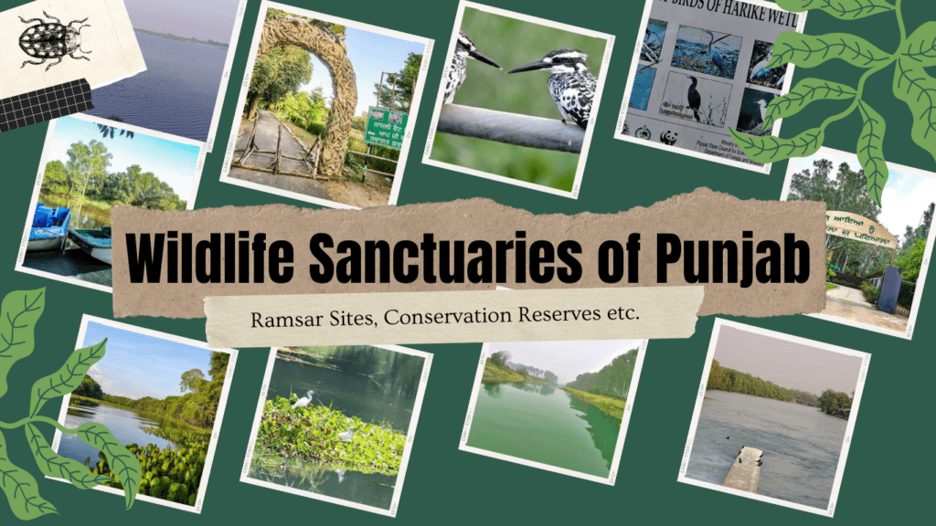 Wildlife Sanctuaries