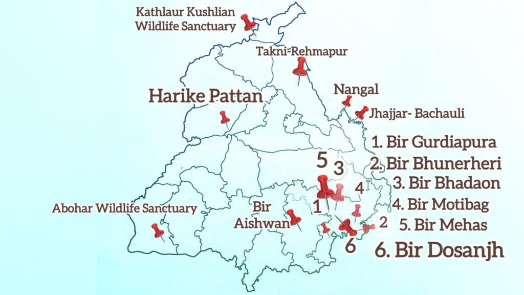 Wildlife Sanctuaries in Punjab