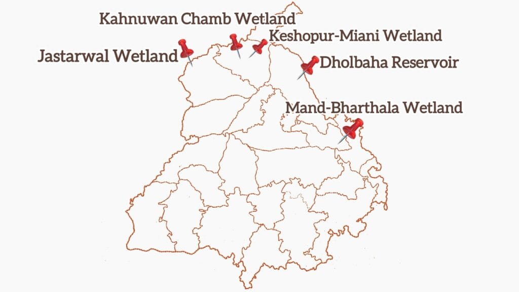 Wetland in Punjab