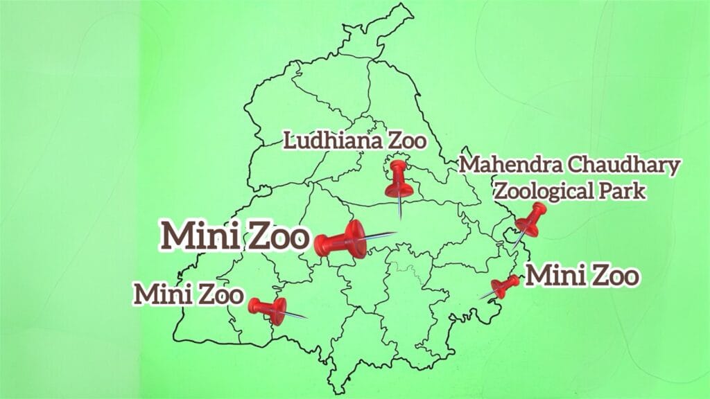 Zoological Parks in Punjab