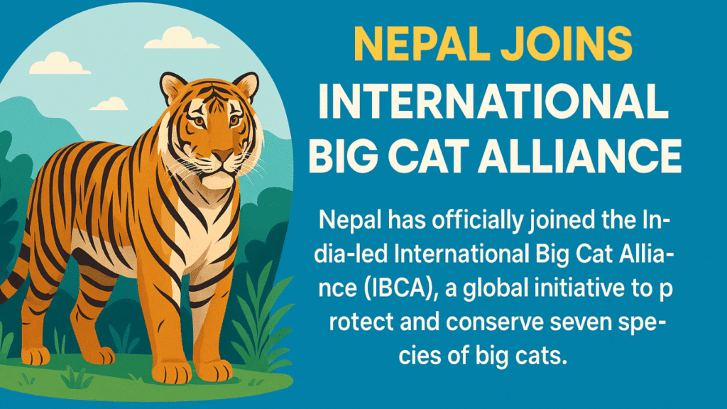  International Big Cat Alliance