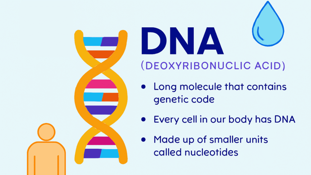 DNA